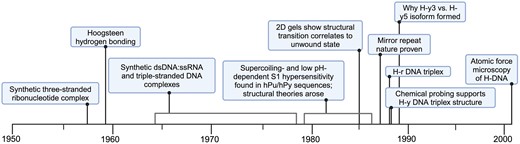 Timeline of H-DNA discovery. Schematic outlining the major discoveries that led to a full understanding of triplex H-DNA’s structure. Synthetic three-stranded ribonucleotide complex (4); Hoogsteen and reverse Hoogsteen hydrogen bonding (6,7); Synthetic dsDNA:ssRNA and triple-stranded complexes (8–11); Supercoiling- and low pH-dependent S1 hypersensitivity found in hPu/hPy sequences; structural theories arose (10,21–33); 2D gels show structural transition correlates to unwound state (33,41,42); Mirror repeat nature proven (43); H-r DNA triplex described (34); Chemical probing supports H-y DNA triplex structure (44–48); why H-y3 versus H-y5 isoform formed (49,50); AFM of H-DNA (71). Created in BioRender. Hisey, J. (2024) https://biorender.com/m31s510.