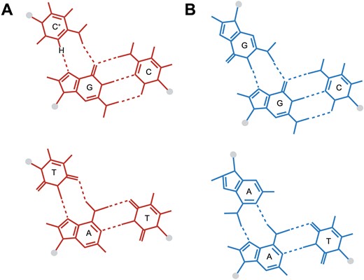 Base triads that stabilize triplex formation. (A) TA*T and CG*C+ base triads with Watson-Crick and Hoogsteen (*) hydrogen bonding. (B) TA*A and CG*G base triads with Watson-Crick and reverse Hoogsteen (*) hydrogen bonding. Created in BioRender. Hisey, J. (2024) https://biorender.com/f14l364.