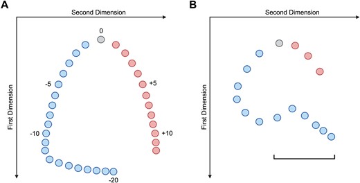 Two-dimensional gel electrophoresis of topoisomers and its use in triplex H-DNA discovery. (A) Schematic of a 2D gel separating various topoisomers of a given plasmid. Blue circles represent negatively supercoiled plasmids, red circles represent positively supercoiled plasmids, and gray circles represent plasmids without supercoiling. Numbers indicate the number of supercoils the plasmid has and if they are positive or negative supercoils. In the first dimension, plasmids with the same absolute value of their number of supercoils run through a gel identically: positively and negatively supercoiled DNA topoisomers move more quickly through the gel with an increasing number of supercoils. In the second dimension, the gel is run in the presence of chloroquine, which unwinds DNA, thereby causing negatively supercoiled plasmids to become less supercoiled and therefore migrate slower and positively supercoiled plasmids to become more supercoiled and therefore migrate faster, thereby separating the negatively supercoiled plasmids (blue) from their positively supercoiled counterparts (red). (B) Schematic of a 2D gel of a plasmid containing (GA)16 from a sea urchin histone gene spacer region where a structural transition (black bracket) equivalent to a complete unwinding of (GA)16 was detected; figure adapted from results found in Figure 3 of (41). Created in BioRender. Hisey, J. (2024) https://BioRender.com/z79v169.