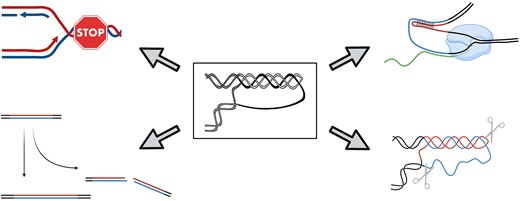 Graphical Abstract