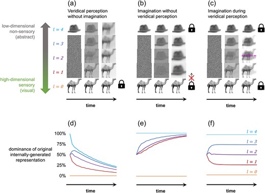 Veridical stimuli outcompete imagined stimuli at low-level sensory representations, but not high-level abstract representations
