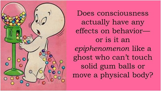 The solution to the epiphenomenalism problem is to recognize a “necessary relation” between the unity of consciousness and the objective efficacious unity of the quantum physical substrate. This relation accounts for behavioral advantages conferred on organisms able to implement quantum conscious processes. In contrast, a classical model cannot solve the epiphenomenalism problem because its large-scale wholes—like our conscious states—are “reducible” to locally interacting parts, and may thus be “eliminated” from the description without changing the model’s empirical predictions. This is a problem because the classical model cannot explain how our conscious states could have evolved and how they could be “useful.”