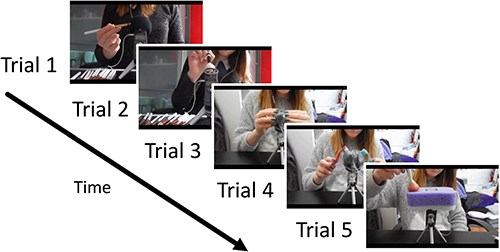 Task paradigm and visual stimuli. Experiment 1 consisted of audiovisual and audio-only conditions (five 2 min trials for each). Participants were randomly assigned to either condition. Under audiovisual conditions, they observed audiovisual stimuli and continuously indicated the intensity of tingling sensations using a 4-point Likert scale. Stimuli and task procedures under audio-only conditions were identical to those under audiovisual conditions, except for removal of visual information from stimuli.