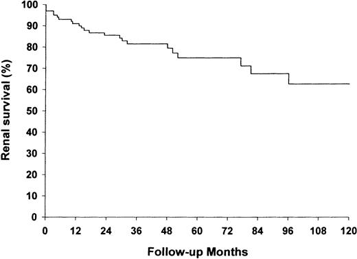 The probability of renal (ESRD‐free) survival (%) during follow‐up. Only patients living longer than 3 months were considered to be at risk (n=101).