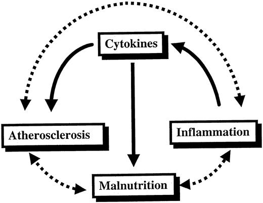 The vicious circle of malnutrition, inflammation and atherosclerotic cardiovascular disease (MIA syndrome) in patients with chronic renal failure. A central role in this scenario is played by the pro‐inflammatory cytokines generated in response to factors such as chronic heart failure and infectious/inflammatory co‐morbid diseases.