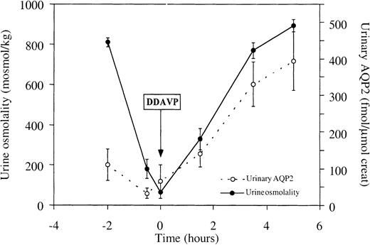 Effects of the administration of DDAVP on urine osmolality and UAQP2. DDAVP was administered at t=0. Urine osmolality increased more than eightfold (P<0.05), with a parallel increase in UAQP2 (P<0.05). Values are given as means±SEM.
