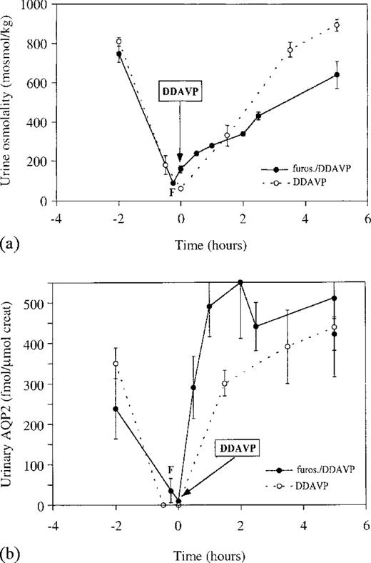 Effects of the administration of DDAVP on (a) urine osmolality and (b) UAQP2, with and without pre‐treatment with frusemide. DDAVP was administered at t=0 min, (○) without and (•) after treatment with frusemide. Although urine osmolality and UAQP2 increased significantly during both tests (P<0.05), the previously described relationship between urine osmolality and UAQP2 seen during the DDAVP test (Figure 4), was lost upon pre‐treatment with frusemide (P>0.05).