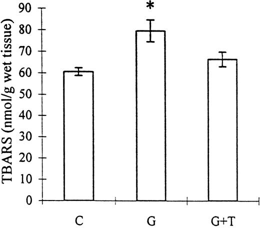 The effect of taurine treatment on gentamicin‐induced TBARS production by rat renal mitochondria. C, control; G, gentamicin; T, taurine. Bars represent the SEM. *P<0.01 vs group C. n=8 for groups C and G, n=9 for group G+T.