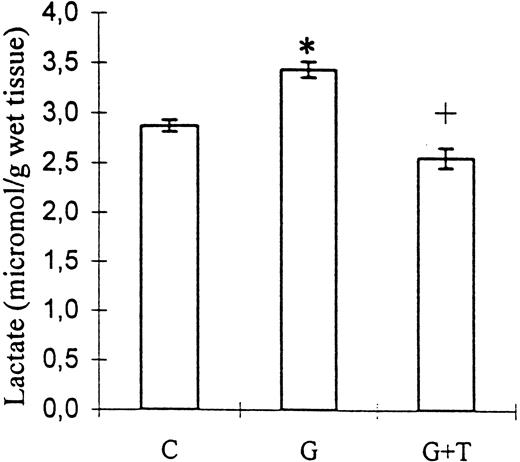 The effect of taurine treatment on kidney tissue lactate levels in gentamicin‐induced acute tubular necrosis. C, control; G, gentamicin; T, taurine. Bars represent the SEM. *P<0.001 vs C, +P<0.001 vs group G. n=8 for groups C and G, n=9 for group G+T.