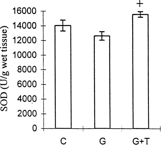 The effect of taurine on kidney tissue SOD activity in gentamicin‐induced acute tubular necrosis. C, control; G, gentamicin; T, taurine. Bars represent the SEM. +P<0.01 vs group G. n=8 for groups C and G, n=9 for group G+T.