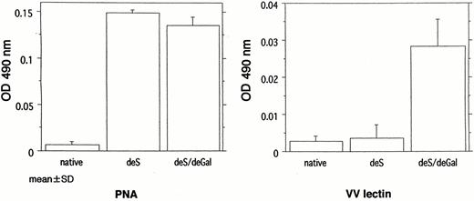 Reactivity of the under‐glycosylated IgA1 with peanut agglutinin (PNA) and Vicia villosa (VV) lectin. PNA reacted with both deS IgA1 and deS/deGal IgA1. VV lectin reacted with deS/deGal IgA1.