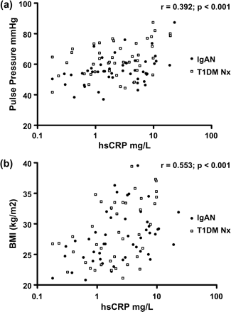 Pulse pressure (a) and body mass index (b) vs high sensitivity C-reactive protein (hsCRP) in IgA nephropathy and type 1 diabetes mellitus subjects with nephropathy.