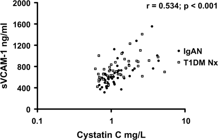 Soluble vascular cell adhesion molecule-1 (sVCAM-1) vs cystatin C in IgA nephropathy and type 1 diabetes mellitus subjects with nephropathy.