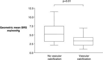 Vascular calcification is associated with reduced geometric mean BRS, highlighting the relationship between structure of the arterial wall and autonomic function.