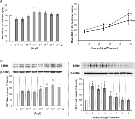 AngII stimulates the TGF-β system at the receptor level. (A) AngII does not significantly affect TGF-β1 secretion by the podocyte. AngII was added to cultured mouse podocytes every 2 h for 8 h at increasing doses (dose–response, left panel) or was added at 10−8 M for 6–48 h (time course, right panel). The concentration of TGF-β1 in the culture media was measured by a specific ELISA (R&D Systems) and corrected for the total cellular protein concentration (pg of TGF-β1/mg of protein); results are displayed as the percentage of the control in five independent experiments. (B) Increasing doses of exogenous AngII for 8 h upregulate the protein production of the signalling TGF-β type II receptor (TβRII) in podocytes, measured as a percentage of control by western immunoblotting. AngII-stimulated TβRII expression was significant and sustained after 10−9 M AngII. *P<0.05 vs control in four independent experiments (left panel). Increasing time of exposure to 10−8 M AngII (added every 2 h where feasible) had the greatest effect on the stimulation of TβRII production at 1–3 h, tapering by 7 h. *P<0.05 vs control (0 h) in six independent experiments (right panel). (C) AngII stimulates TGF-β signalling through the Smad2 pathway. AngII at 10−8 M was added to cultured podocytes for 8 h, with or without treatment with 1 μM SB-431542, a TGF-β signalling inhibitor. Quantities of phospho-Smad2 were significantly increased by AngII but were suppressed below baseline by SB-431542. *P<0.05 vs control and †P<0.05 vs AngII in eight independent experiments.