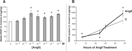 AngII increases VEGF secretion in a dose- and time-dependent manner. (A) Mouse podocytes that were treated with increasing doses of AngII over an 8 h period secreted significantly more VEGF120,164 into the culture media, as measured by a specific ELISA (R&D Systems). The concentration of VEGF was adjusted for the total cellular protein concentration (pg of VEGF/mg of protein), and the results are presented as the percentage of control. *P<0.05 vs control in four independent experiments. (B) Podocytes were treated with 10−8 M AngII from 6–48 h. Untreated control podocytes showed a steady rate of VEGF accumulation in the culture media over time (thin line). Compared with control, AngII treatment (thick line) significantly increased media VEGF levels at 6 h, but by 24 h VEGF quantities had significantly dropped. At 30 h, however, VEGF secretion in the AngII-treated podocytes had caught up to control levels, and at 48 h AngII-induced VEGF production significantly exceeded control. *P<0.05 vs corresponding time point control in seven independent experiments.