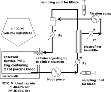 Principle of the in vitro circuit. Pa, Pv, TMP and Pf were measured as indicated according to the procedure of clinical application. Haemofiltration was performed for a total of 2 h for each experiment. Pa, arterial pressure; Pv, venous pressure; TMP, transmembrane pressure; Pf, average pressure inside the filtrate compartment.