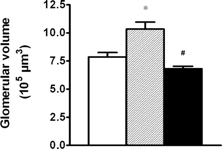 Glomerular volume in non-diabetic, lean control rats (open bar), ZDF control rats (hatched bar) and VEGF antibody-treated ZDF rats (closed bar) after 5 weeks of treatment. Results are presented as means±SEM. n = 8–9 in each group. *P<0.01 vs non-diabetic, lean control rats, #P<0.001 vs ZDF control rats.