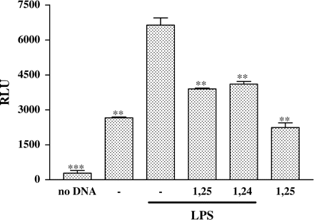 Treatment of P388D1 cells with 1,25(OH)2D3 or 1,24(OH)2D2 inhibits NFκB activity. P388D1 cells were transiently transfected with the NFκB plasmid containing the luciferase reporter gene (pNFκB-Luc). 24 h later the cells were treated for 16 h with 1,25(OH)2D3 or 1,24(OH)2D2 and subsequently stimulated with LPS for an additional 8 h. Cell lysates were prepared, and luciferase activity present in 50 µg of cellular protein was measured. The results are expressed as mean±SE and represent three experiments performed in triplicate (***P<0.001, **P<0.01 vs LPS alone).