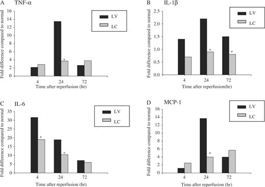  Effect of monocyte–macrophage depletion on cytokine and chemokine gene expression in ischaemic ARF in rats. Rats were intravenously injected with either LV or LC. At 24 h later, rat kidneys were subjected to 40 min of ischaemia or sham operation and sacrificed at 4, 24 or 72 h after reperfusion. TNF-α, IL-1β, IL-6 and MCP-1 mRNA expression was measured by real-time RT–PCR. In each experiment, the expression level was normalized to that of 18S and was expressed as fold differences relative to sham-operated control animals. Data are presented as median value. * P <0.05 compared with LV, n = 5 animals per group. 
