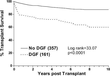 Effect of DGF on renal graft survival. Graft survival is censored for death.