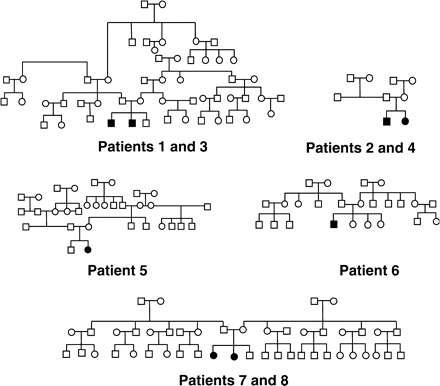 Pedigrees of patients 1–8.