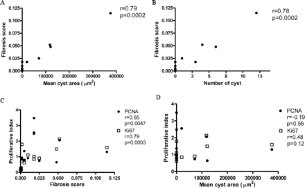 Correlations between cyst number, fibrosis score and PI. (A) Fibrosis score correlated with mean cyst area (R = 0.79, P = 0.0002). (B) Fibrosis score correlated with the number of renal cysts (R = 0.78, P = 0.0002). (C) Fibrosis score also correlated with PCNA PI (R = 0.65, P = 0.0047) and Ki67 PI (R = 0.79, P = 0.0003). (D) There was no significant correlation between PI and mean cyst area (PCNA: R = −0.19, P = 0.56; Ki67: R = 0.48, P = 0.12).