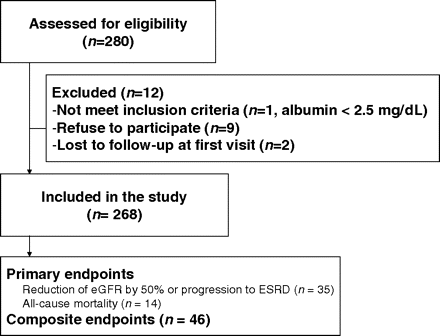 Flow chart indicates patient enrollment.