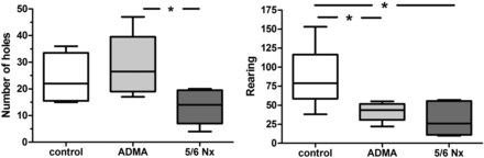 Direct (number of holes) and indirect (rearing) exploratory behaviour of rats in holeboard testing after 28 days of infusion of ADMA or 5/6 nephrectomy (Nx) compared with saline-injected controls. Data presented as median (interquartile ranges); comparison between groups using ANOVA and Tukey's multiple comparison test, *P < 0.05.