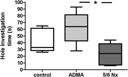 Anxiety measured by the hole investigation time in the holeboard test after 28 days of infusion of ADMA or 5/6 nephrectomy (5/6 Nx) compared with saline-injected controls. Data presented as median (interquartile ranges); comparison between groups using ANOVA and Tukey's multiple comparison test, *P < 0.05.