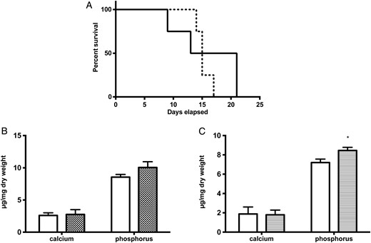 Treatment with a TNFα inhibitor as well as a TNFα receptor antagonist does not influence survival and did not inhibit media calcification of the abdominal aorta. DBA/2 mice were fed with a high-phosphate diet and were treated with the TNFα inhibitor etanercept (dashed line) or vehicle (solid line) and followed for survival (A; n = 4 per group). Mice treated with the TNFα inhibitor etanercept (B; grey bar; n = 4) or the TNFα receptor antagonist R-7050 (C; grey bar; n = 4) were analysed for calcification of the abdominal aorta and compared with vehicle-treated mice (white bars) after 10 days of high-phosphate diet. Data are given as means ± SEM.