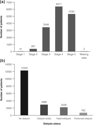 K/DOQI CKD stage (a) and dialysis status (b) at enrolment. CKD, chronic kidney disease; K/DOQI, Kidney Disease Outcomes Quality Initiative.