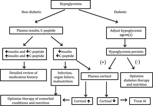 Algorithm for the diagnostic approach to hypoglycemia in ESRD patients. AI, adrenal insufficiency.