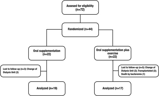 Flow chart of patients through the study. Forty-four patients were randomized in two different groups, 22 in the oral nutritional supplementation (ONS) group and 22 in the oral supplementation group plus resistance exercise (ONS + RE). Only 36 patients concluded the study, 19 in the ONS group and 17 in the ONS + RE group.