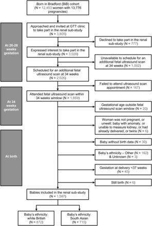 CONSORT flow chart of recruitment for renal substudy.