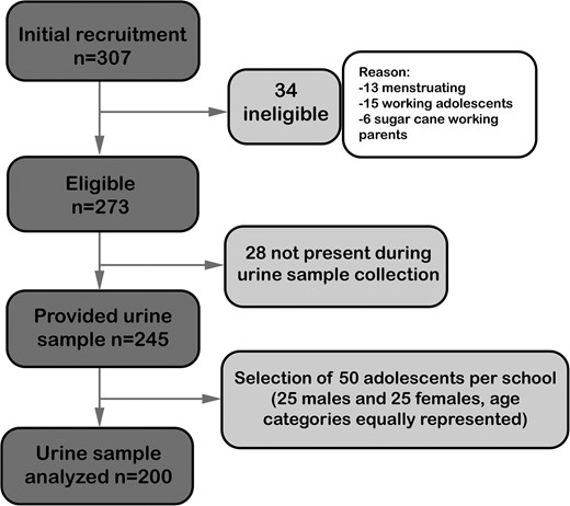 Adolescent study population flow chart.