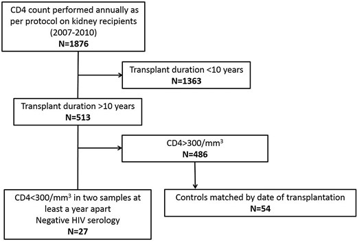 Flow chart of the study.