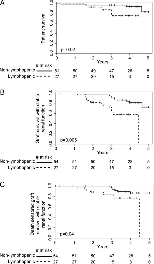 Kidney graft survival analysis. (A) Patient survival, (B) overall renal allograft survival and (C) death censored renal allograft survival analysis in both lymphopenic and non-lymphopenic groups. A composite criterion was used to assess the progression of the chronic allograft nephropathy (50% increase of serum creatinine level or kidney graft loss). Survival curves start at the date of inclusion in the study.