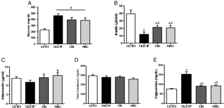Biochemical characteristics of the experimental animals. Serum glucose levels were increased in the OLETF group compared with the LETO group, but the increased serum glucose levels were slightly reduced in the OA and NAC groups compared with the OLETF group (A). Otherwise, insulin levels were significantly decreased in the OLETF group. Decreased insulin levels were effectively increased in the OA- or NAC-treated groups (B). Adiponectin levels were slightly decreased in the OLETF group compared with the LETO group, but the adiponectin levels of the NAC group were significantly increased compared with the OLETF group (C). Serum TC levels did not show any difference among the four groups, but TG levels were increased in the OLETF group compared with the LETO group (D). Increased TG levels were significantly decreased by OA or NAC administration (E). LETO, control group; OLETF, diabetic control group; OA, oleanolic acid-treated diabetic group; NAC, N-acetylcysteine-treated diabetic group. Data are expressed as mean ± SEM. aP < 0.05 versus LETO, bP < 0.05 versus OLETF.
