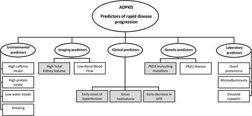 Markers used to assess prognosis in ADPKD. Shaded rectangles represent the best-validated markers (adapted from ref. [24]).