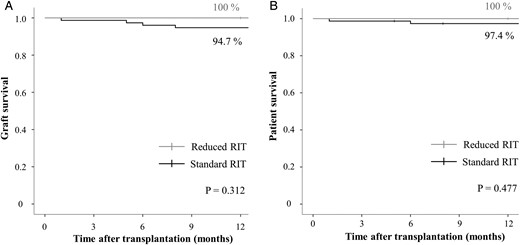 Overall graft and patient survival. (A) Graft survival and (B) patient survival of ABOi KT according to RIT dose. ABOi, ABO-incompatible; KT, kidney transplantation; RIT, rituximab.