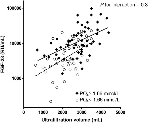 Both in patients with phosphate levels below and above median, UFV correlated with Ln-transformed FGF-23. Regression lines for FGF-23 and UFV are depicted per levels of serum phosphate above (continuous) and below (dashed) its median. FGF-23, fibroblast growth factor 23; PO4, phosphate.