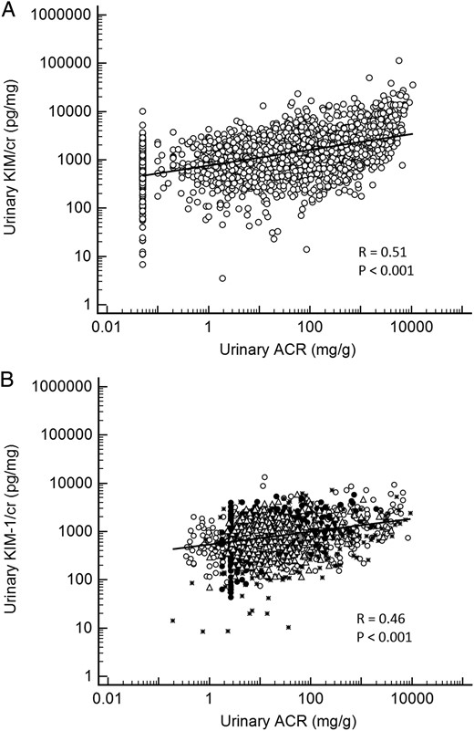 (A) Scatterplot of urinary ACR and KIM-1/creatinine in the Chronic Renal Insufficiency Cohort (CRIC) study. The lowest value reported for ACR was 0.05 mg/g. (B) Scatterplot of urinary ACR and KIM-1/creatinine in four cohort studies. The lowest ACR value reported in the ULSAM cohort was 1.77 mg/g. ° Atherosclerosis Risk in Communities (ARIC); * Pima Indian cohort (PIMA); Δ Prospective Investigation of the Vasculature in Uppsala Seniors (PIVUS); • Uppsala Longitudinal Study of Adult Men (ULSAM). ACR, albumin/creatinine ratio; cr, creatinine; KIM-1, kidney injury molecule-1.