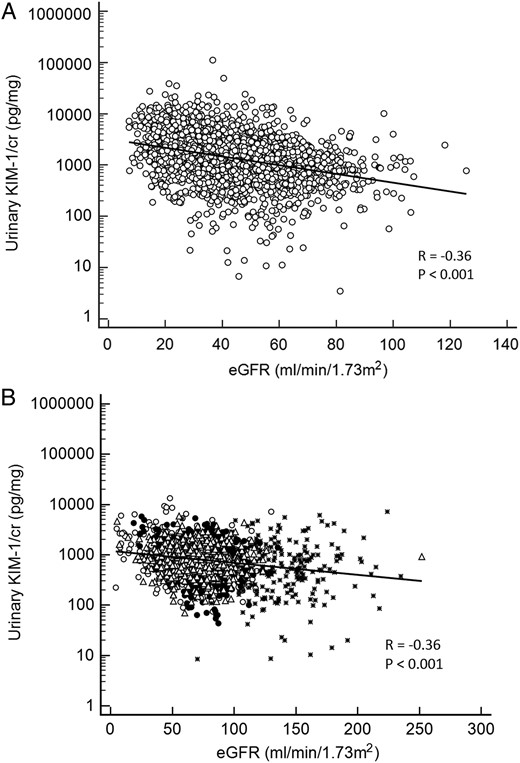 (A) Scatterplot of urinary eGFR and KIM-1/creatinine in the Chronic Renal Insufficiency Cohort (CRIC) study. (B) Scatterplot of urinary ACR and KIM-1/creatinine in four cohort studies. ° Atherosclerosis Risk in Communities (ARIC); * Pima Indian cohort (PIMA); Δ Prospective Investigation of the Vasculature in Uppsala Seniors (PIVUS); • Uppsala Longitudinal Study of Adult Men (ULSAM). cr, creatinine; eGFR, estimated glomerular filatration rate; KIM-1, kidney injury molecule-1.