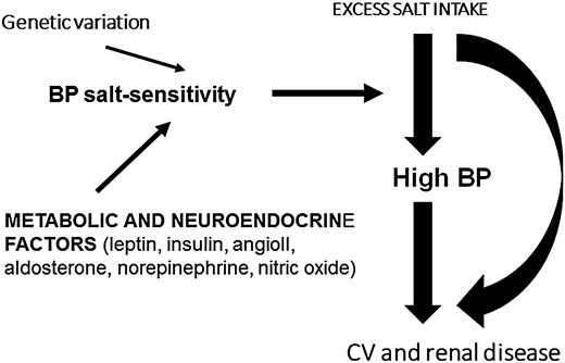 Metabolic, neuro-hormonal and genetic factors involved in the salt-sensitivity of BP. CV, cardiovascular.