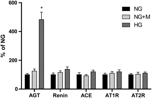 AGT, renin, ACE, AT1R and AT2R mRNA expression in GECs exposed to 5.6 mM glucose (NG), NG+24.4 mM mannitol (NG+M) and 30 mM glucose (HG) (n = 6). There was a significant increase in AGT mRNA expression in GECs exposed to HG medium. In contrast, there were no significant differences in renin, ACE, AT1R and AT2R mRNA expression between the NG and HG groups. Mannitol had no effect on the mRNA expression of RAS components in cultured GECs. *P < 0.01 versus NG and NG+M groups.