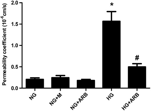 Permeability coefficient to albumin in GECs exposed to 5.6 mM glucose (NG), NG+24.4 mM mannitol (NG+M), NG+10−7 M L-158,809 (NG+ARB), 30 mM glucose (HG) and HG+ARB (n = 6). Compared with NG-stimulated cells, the permeability coefficient to albumin determined using the FITC-BSA permeability assay was significantly higher in GECs exposed to HG medium, and L-158,809 treatment significantly abrogated this increase in HG cells. *P < 0.001 versus NG, NG+M and NG+ARB groups, #P < 0.01 versus HG group.