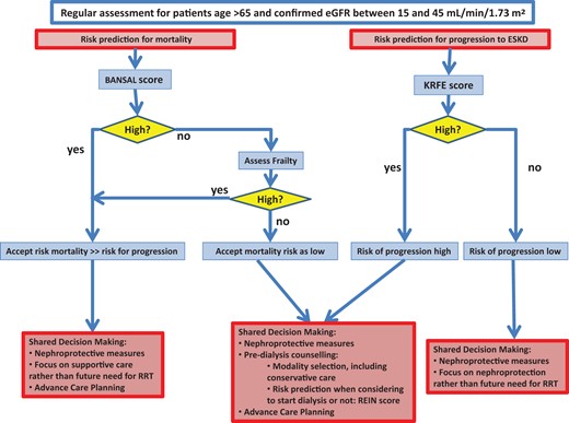 Proposed management pathway for older patients with advanced CKD. KRFE score is the 4-variable Kidney Failure Risk Equation (see Question 2). For Bansal and REIN score see Question 3.