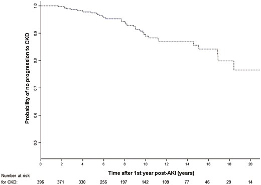 Kaplan–Meier plot of time to progression to CKD 1 year after an episode of dialysis-requiring AKI.