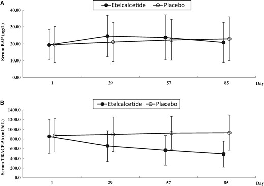 Serum BAP (A) and TRACP-5b (B) levels during the study period. Data are expressed as means ± standard deviation.